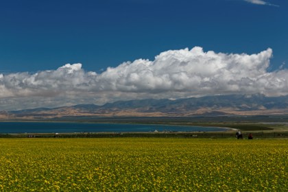 Qinghai Lake & Chaka — photograph 2
